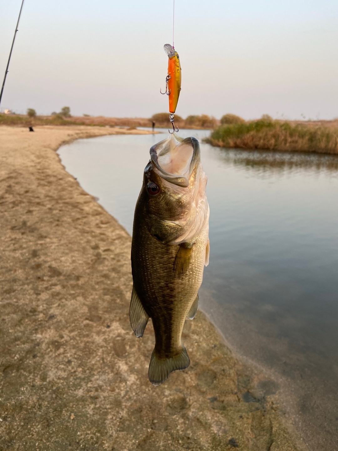 미노우 채비로 낚은 배스
