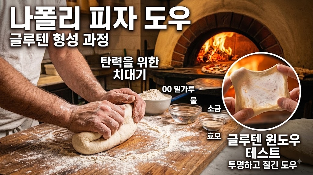화덕피자 도우 반죽 배합 및 글루텐 형성 과정