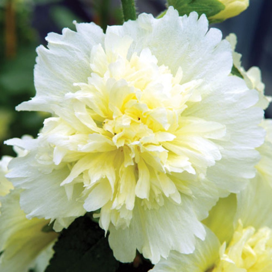 순천만 국가정원