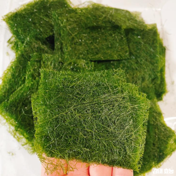 감태 효능 : 감태 효능과 부작용 알고 드세요!