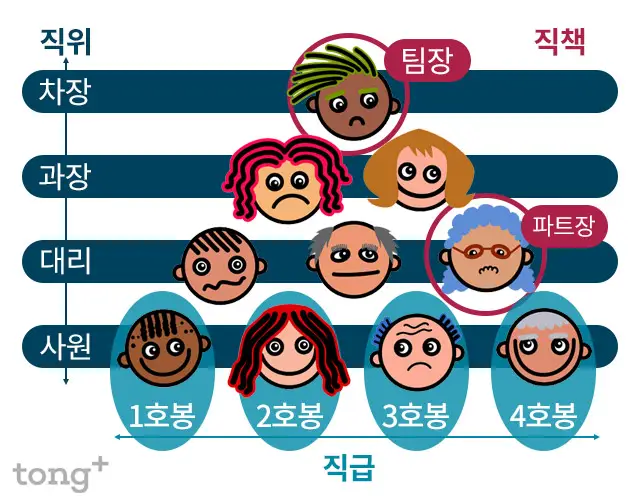 회사에서 직위/직급/직책의 위치