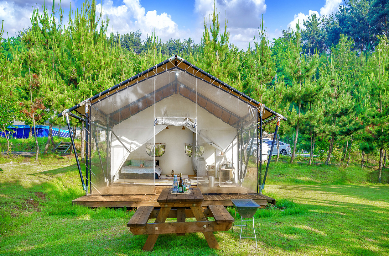 파인트리 글램핑장