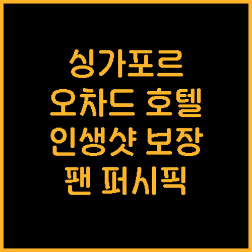 싱가포르 오차드 호텔 추천! 팬 퍼시..