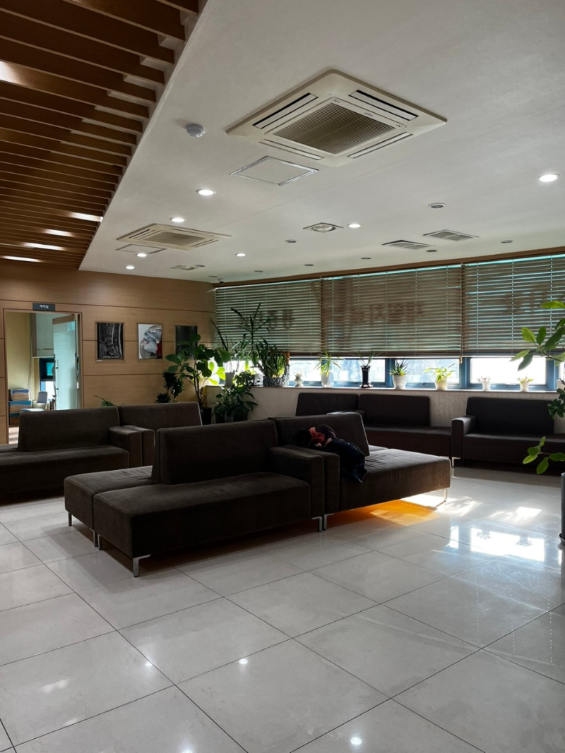 고양시 대화동 정형외과 유명하고 잘하는 곳 추천 TOP 5