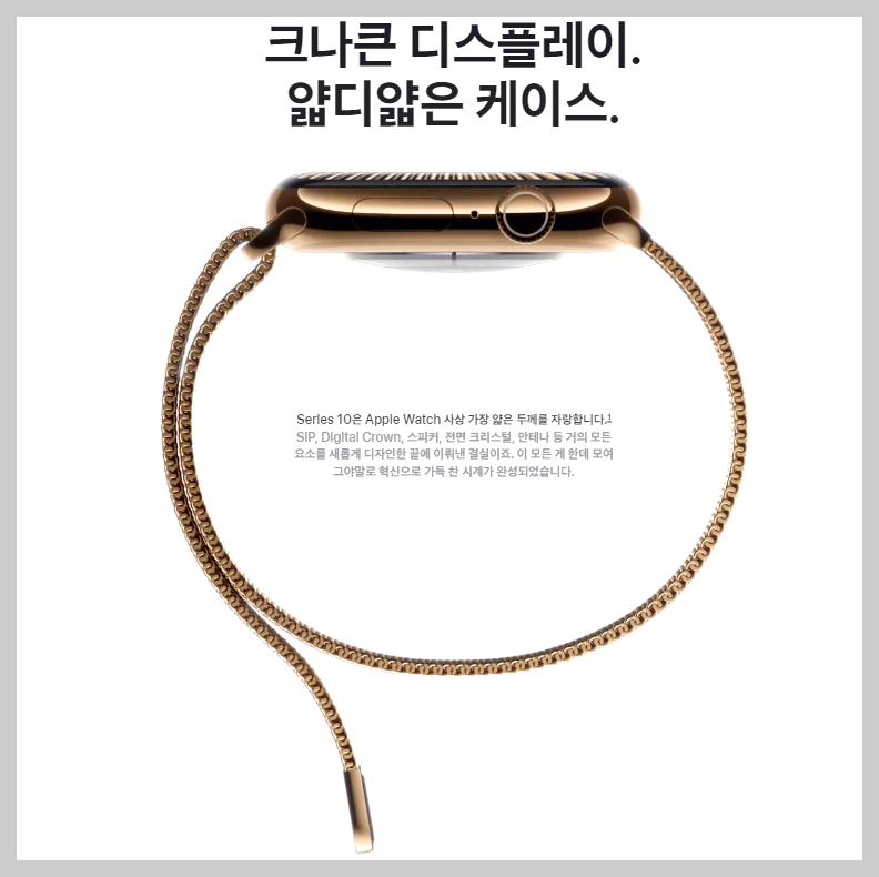 애플워치 10