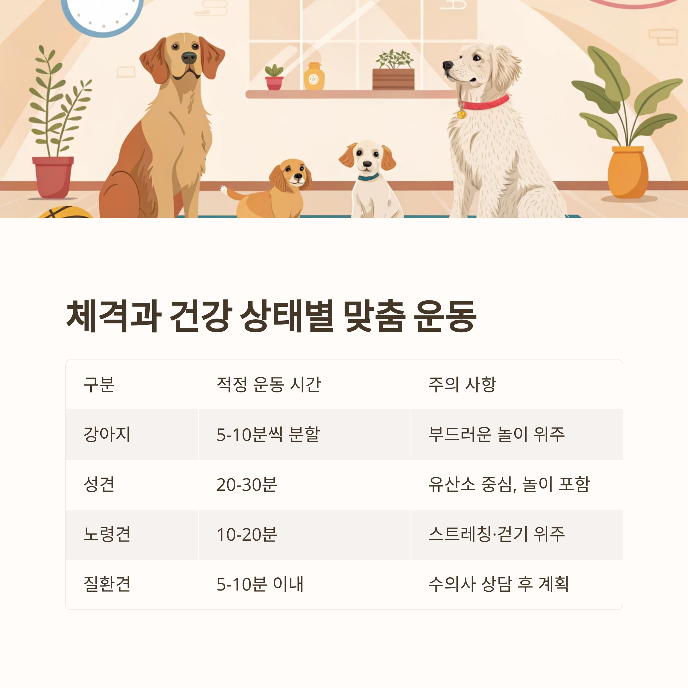체격과 건강 상태별 맞춤 운동