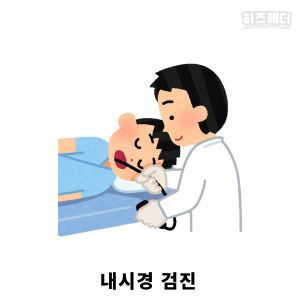노인 빈혈 원인 관리