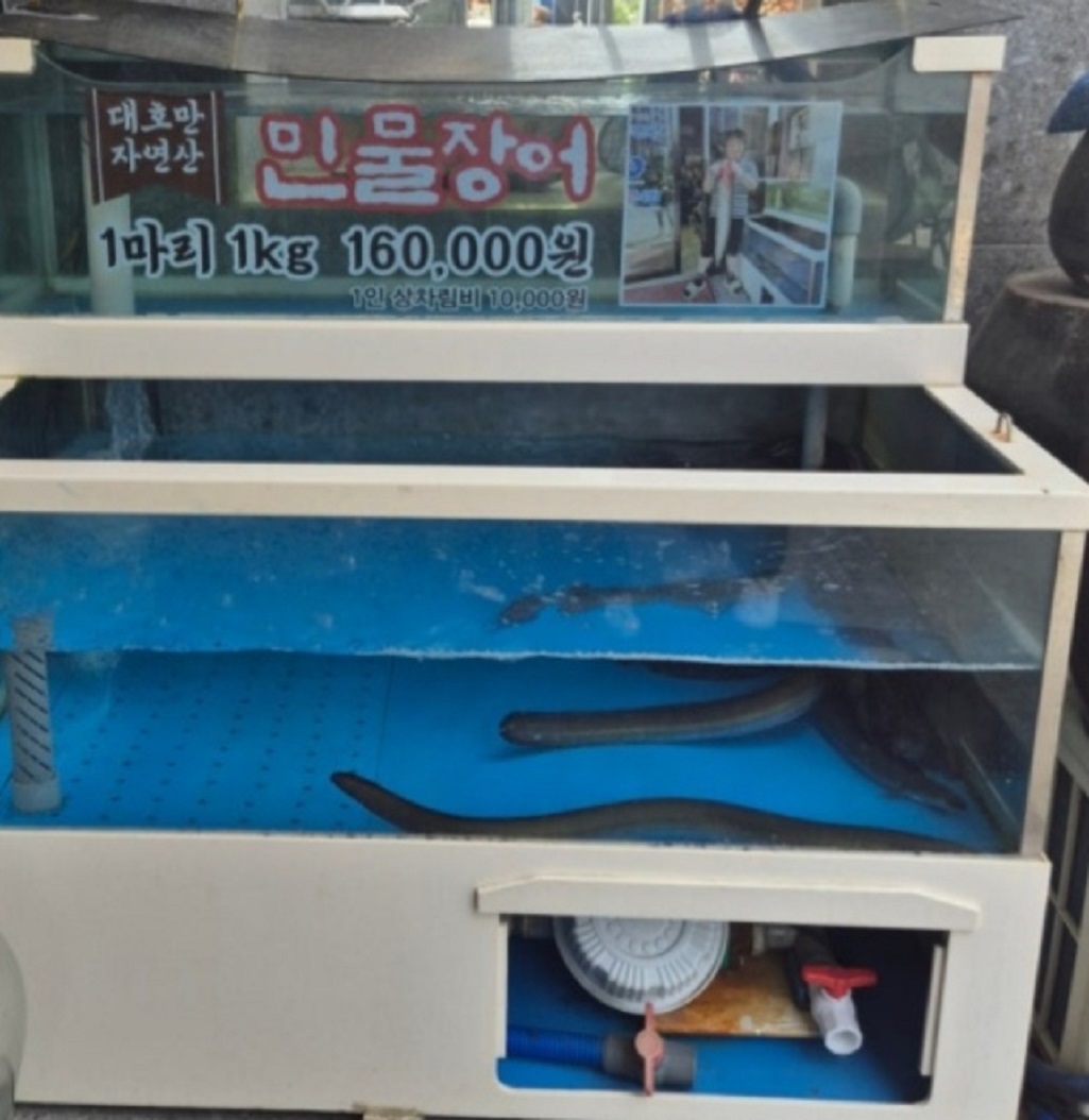 백반기행-당진-장어-대호만-자연산-태봉면옥