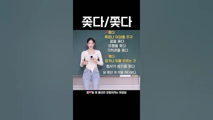 좇다 쫓다 맞춤법 맞는 표현 예문_6