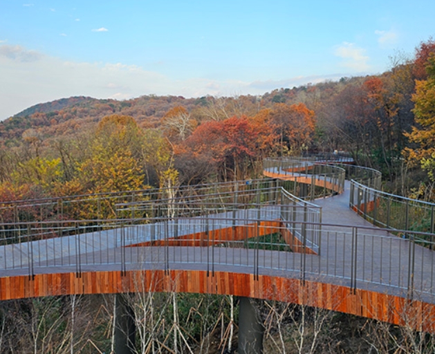 서울 단풍 명소 추천! 용마산 스카이워크 전망대 개장 소식
