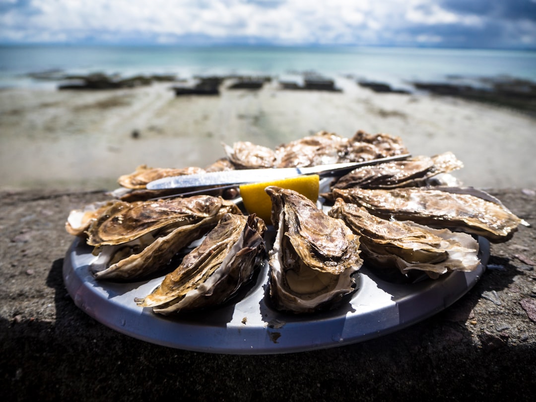oyster