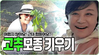 박원숙 박원숙의 같이 삽시다 시즌3, 나이, 재방송, 남해 카페, 프로필, 아들,고향, 가족, 드라마