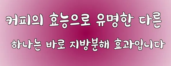 커피의 효능으로 유명한 다른 하나는 바로 지방분해 효과입니다