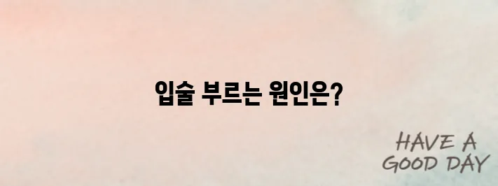 입술이 부르트는 이유