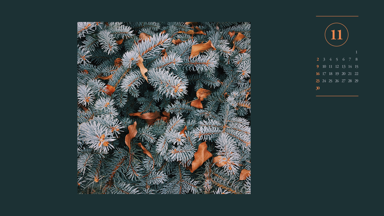 03 하얀 소나무 A - 2025년11월 노트북배경화면