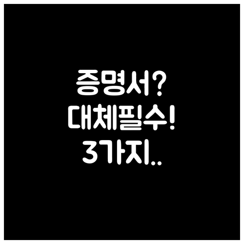 반려견 보험 청구시 진료 기록부 대체..