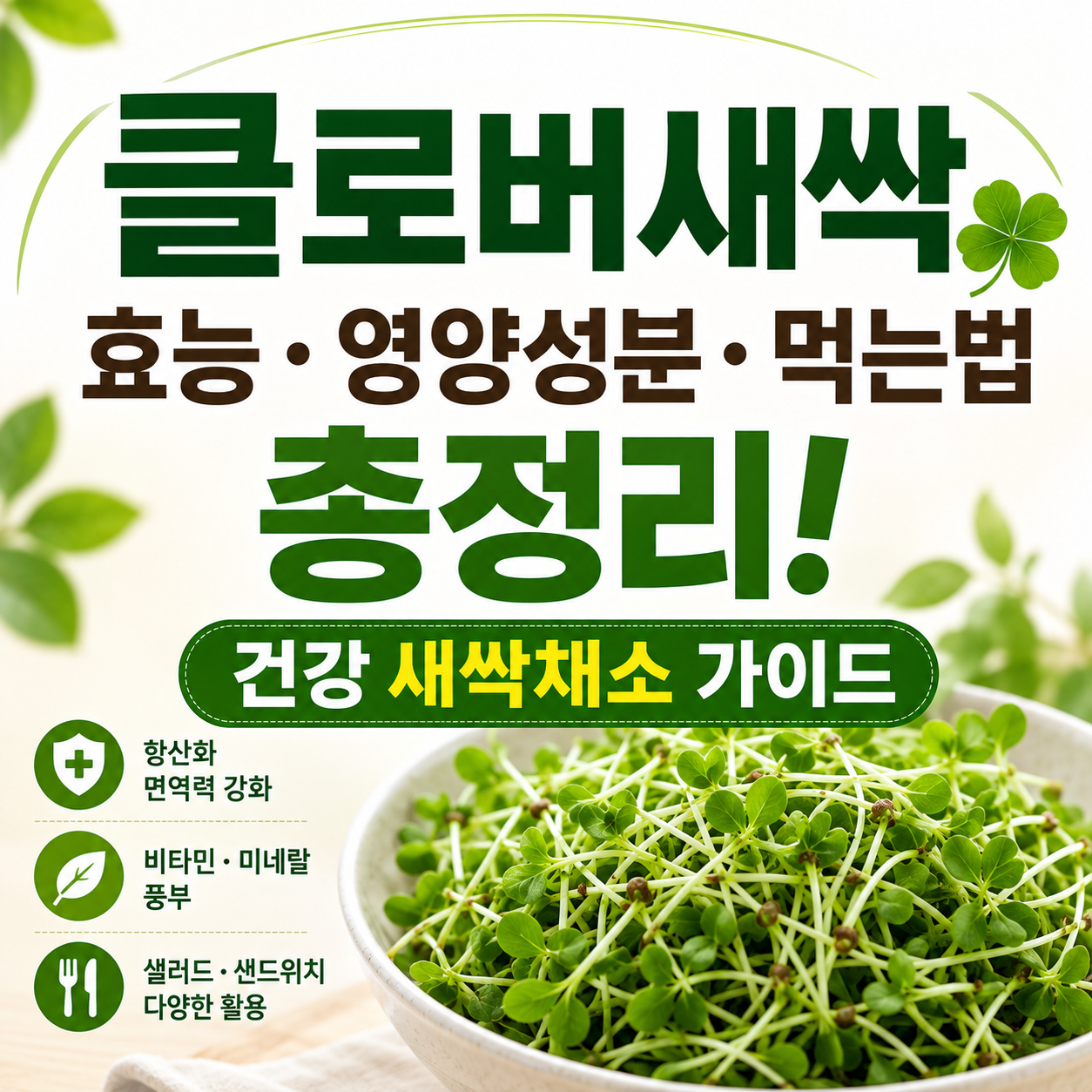 클로버새싹 효능