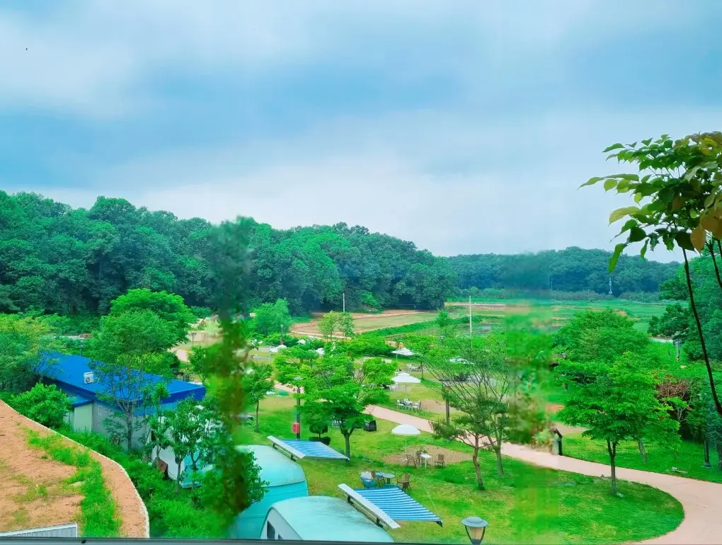 김포 가혜리카페: 또 가고 싶은 자연 속 브런치카페, 리뷰이벤트, 평화누리길