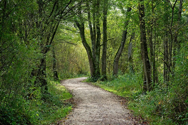 국립자연휴양림 성수기