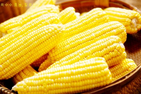 옥수수 효능