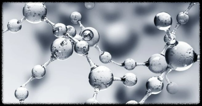 식물성 NMN 효능 및 부작용: 관절염 개선부터 다양한 건강 효과까지