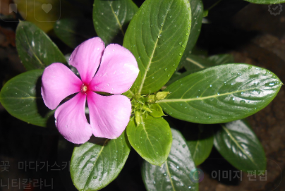 스트레스 관리 관련 사진