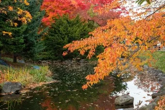 단풍구경 전국 명산 50대 이상 안전한 등산로 추천_3