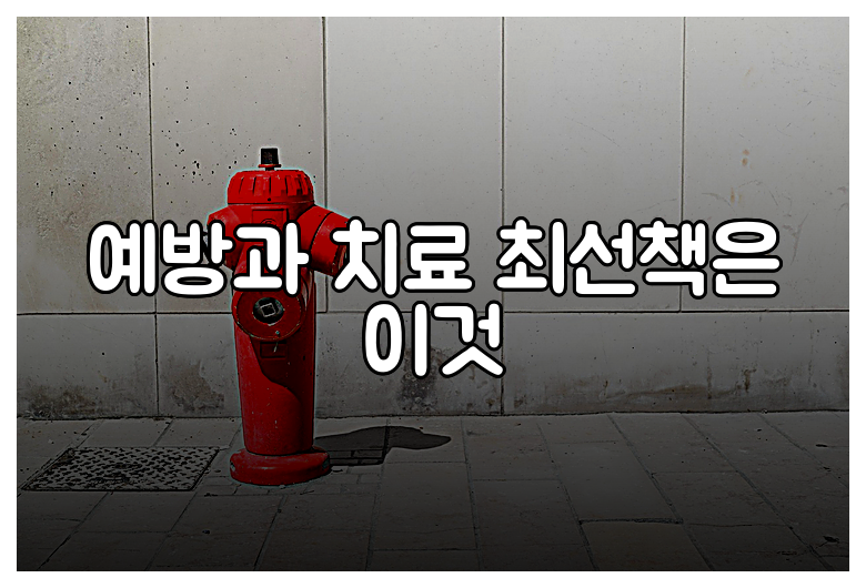 예방과 치료 최선책은 이것