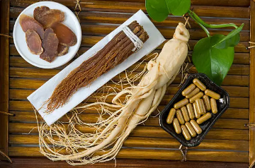 산삼배양근 효능 총정리 1