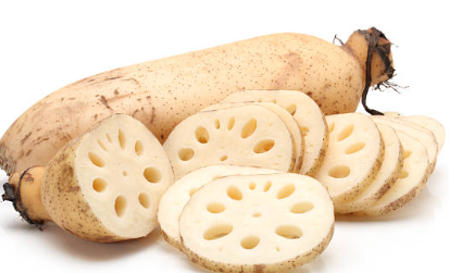 연근 6가지 효능 및 샐러드 레시피 (+ 요리법 보관법)