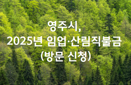 산 사진