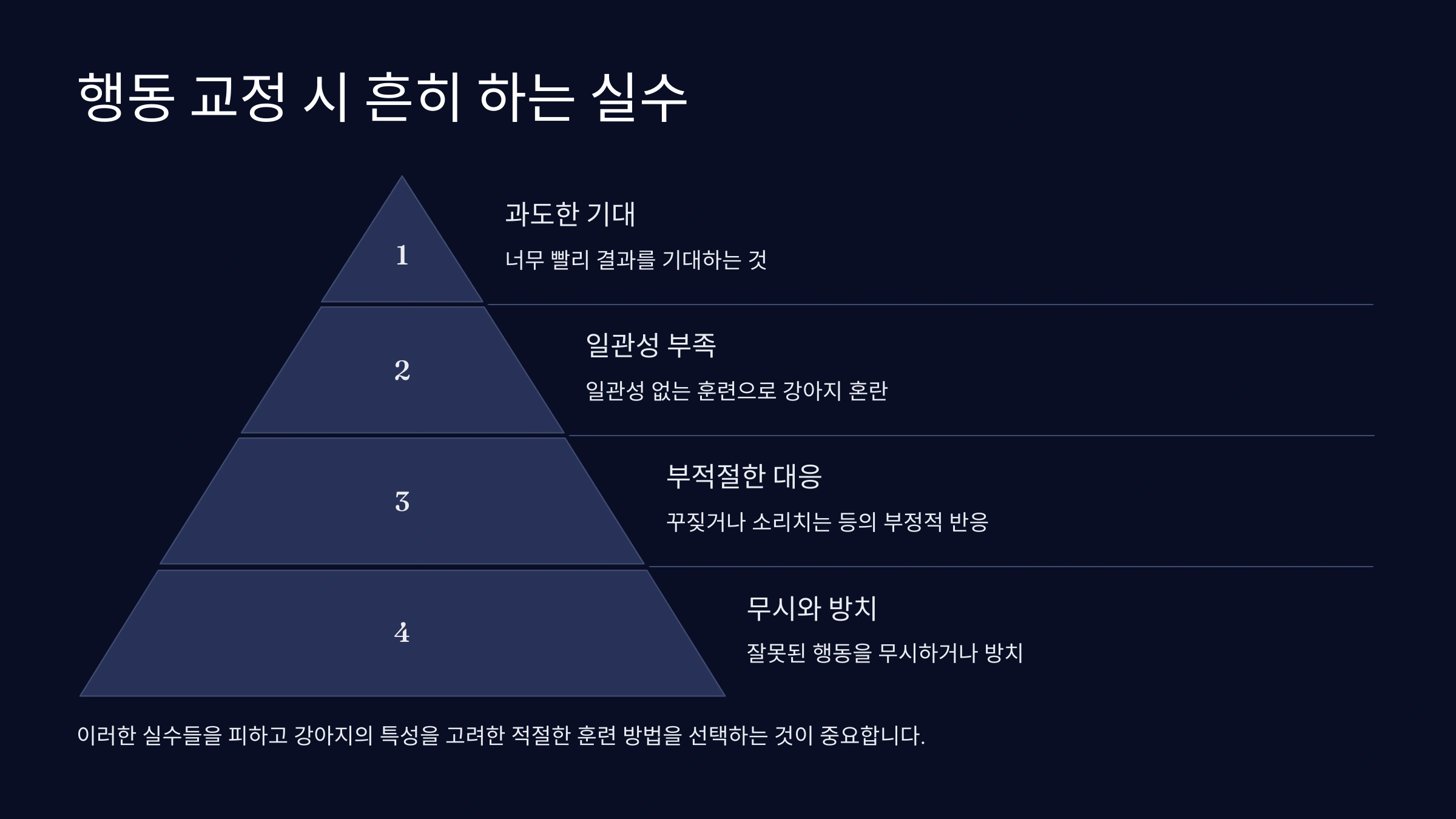 강아지가 특정 장소에서 짖는 행동 교정법