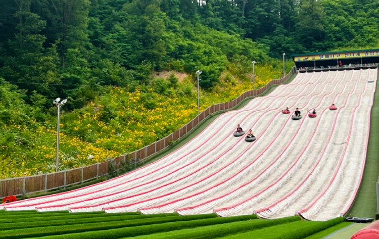 칠곡보 사계절썰매장