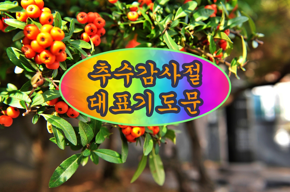 추수감사주일 대표 기도문