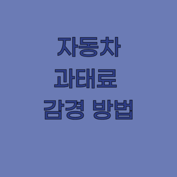 과태료 감경 방법