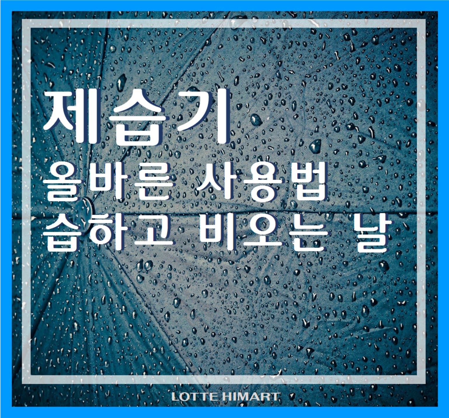 2025 장마 대비 제습기 추천! 여름철 필수템, 실내 습기 잡는 똑똑한 선택