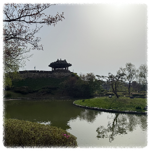 용연