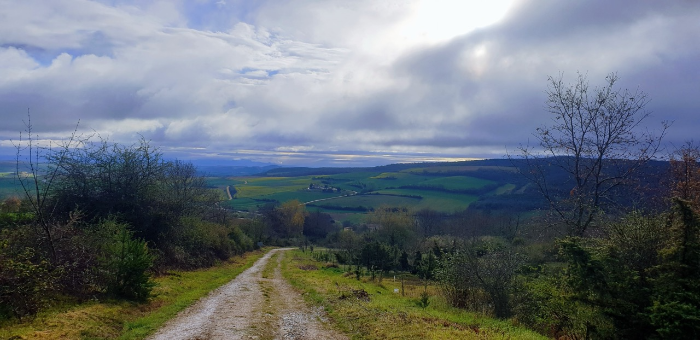 산티아고 순례길 걷기