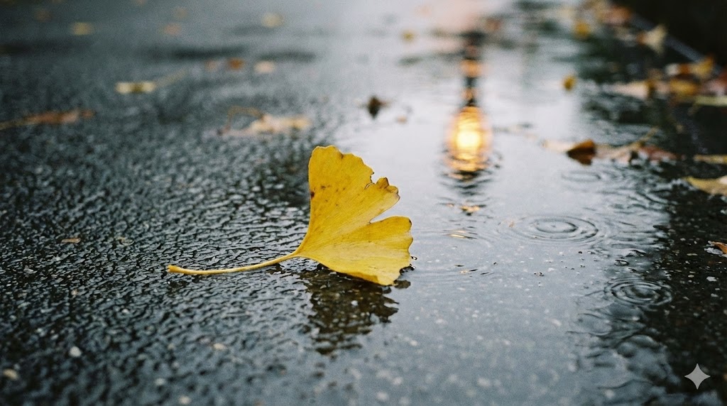 Artistic illustration of a ginkgo tree leaf on a wet pavement, symbolizing memory and sorrow.