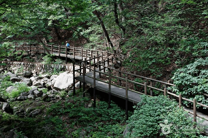 도시 속 자연의 포옹