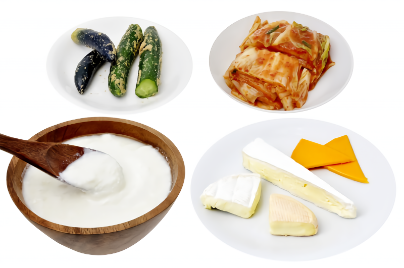 유산균 식품 종류