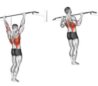 Pull-up