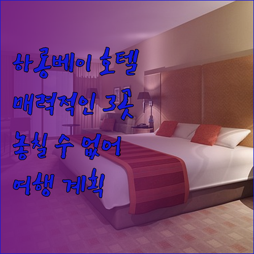 할롱베이 여행 계획 중이세요? 놓칠 