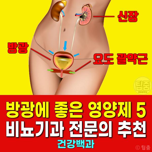 방광 영양제 비뇨기과 전문의 추천