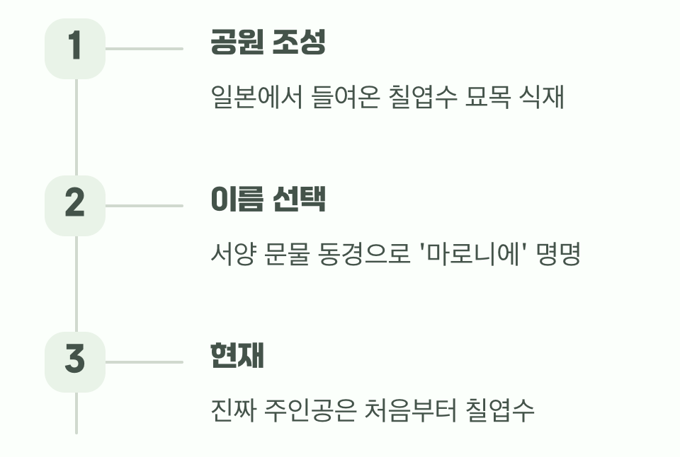 마로니에 공원의 진짜 주인공