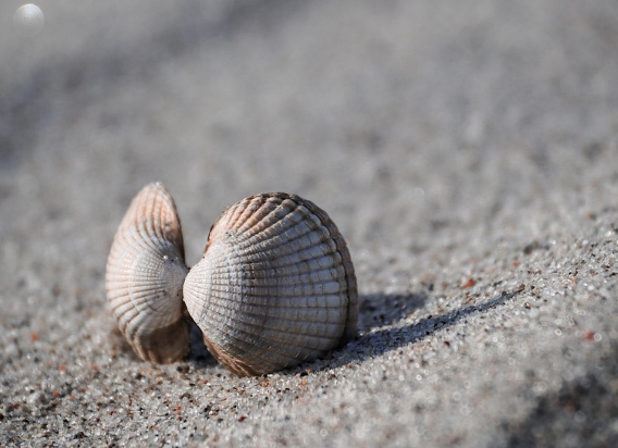 영화 다빈치 코드 쉽게 이해하기 : 성배, 암호, 그리고 소피의 정체까지