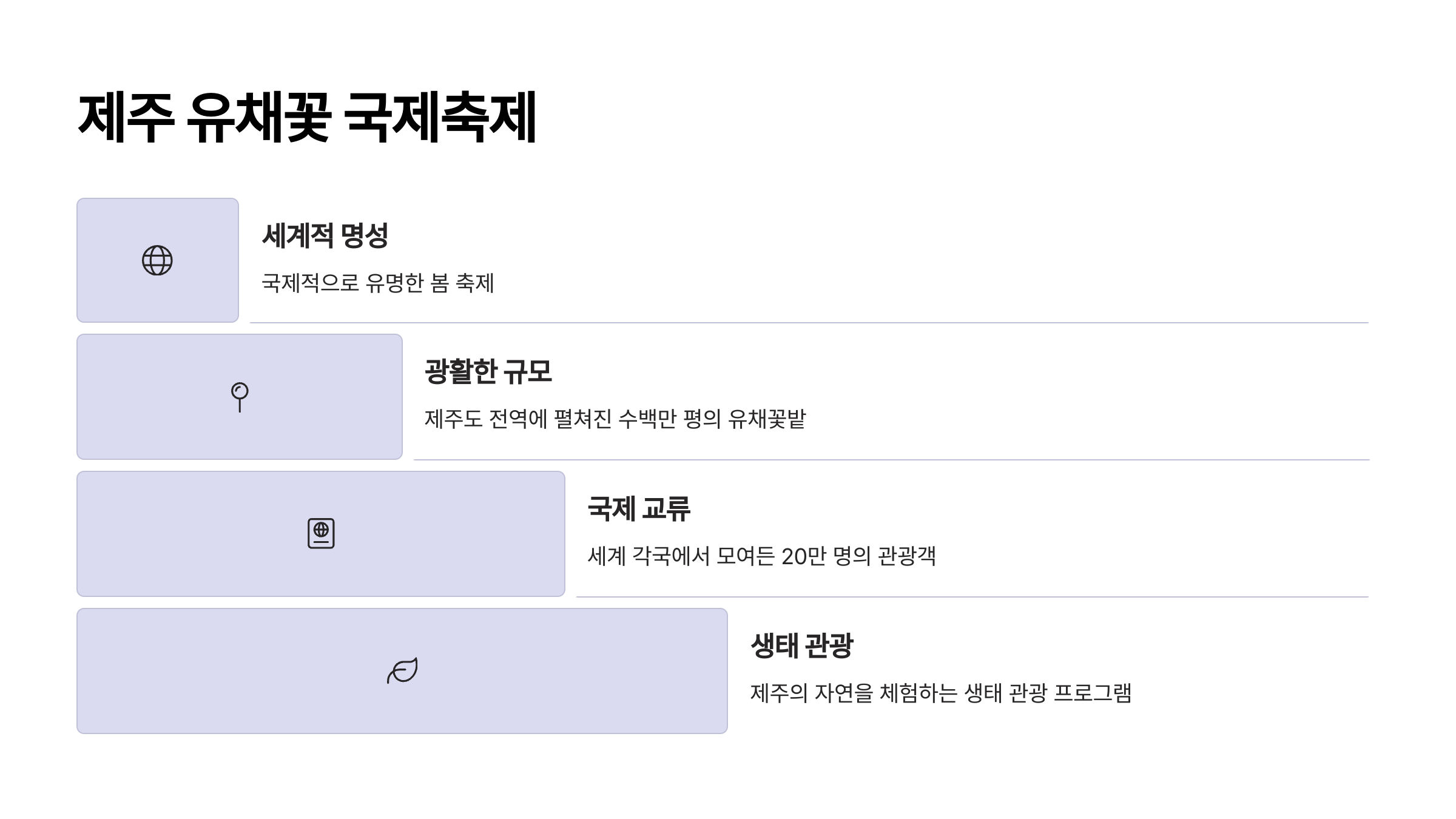 제주 유채꽃 국제축제