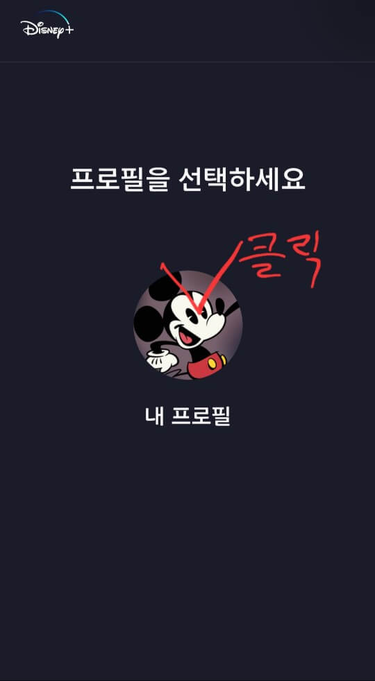 디즈니플러스 성인인증