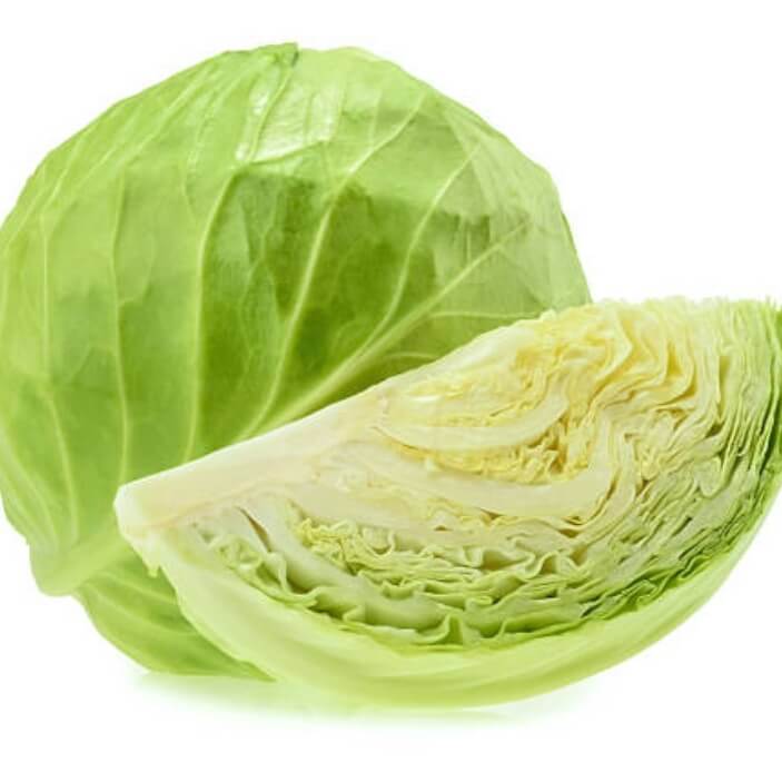 양배추-사진