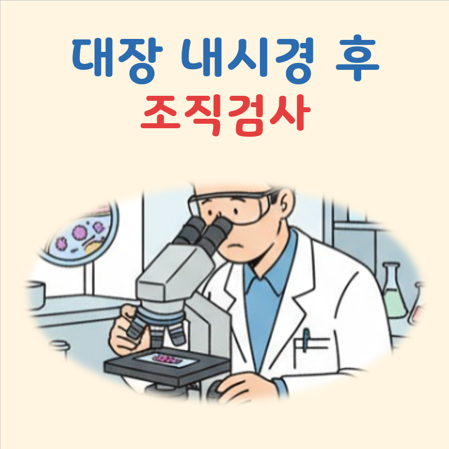 대장내시경 후 조직검사 대표 이미지